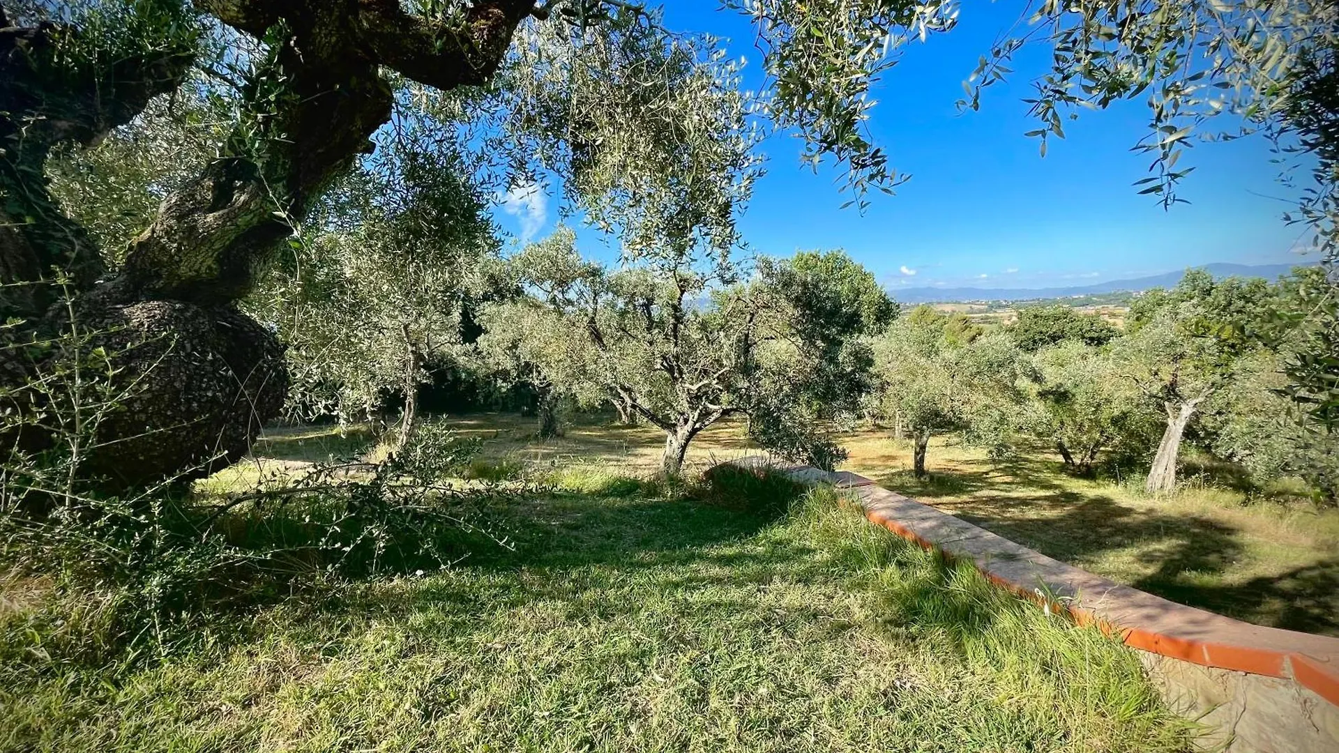 Bed & Breakfast La Melea - Vegan Bed And Breakfast Lucignano
